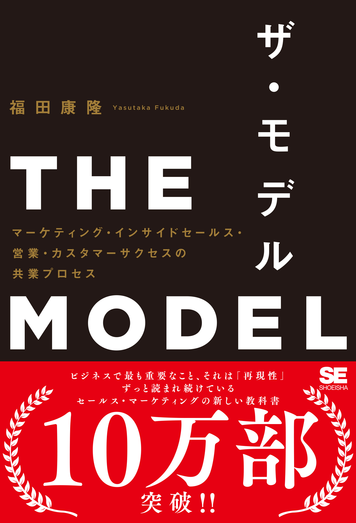 THE MODEL