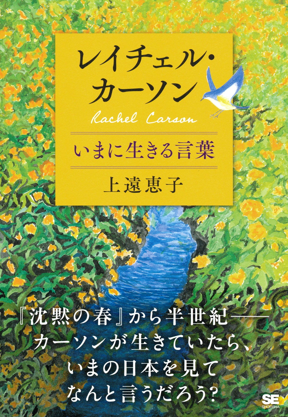 Amazon.co.jp: ジャングルの教訓、メジャーの知恵～これからを