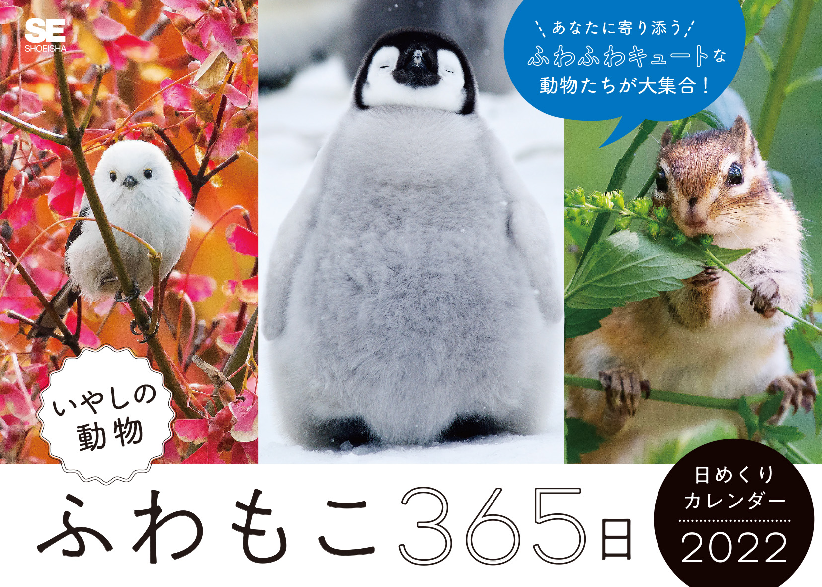 ふわもこ365日 いやしの動物日めくりカレンダー 22 Seshop Com 翔泳社の通販