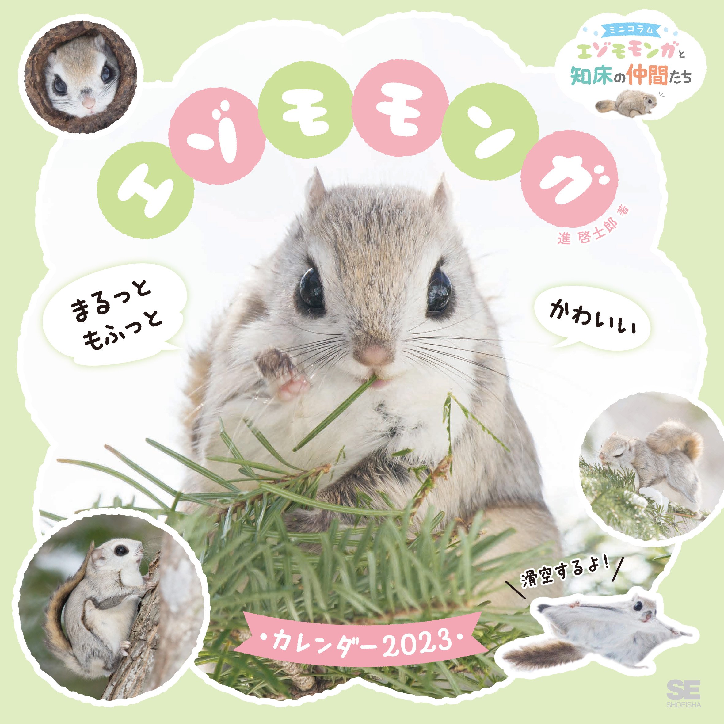 まるっともふっと かわいいエゾモモンガ カレンダー 2023（進 啓士郎