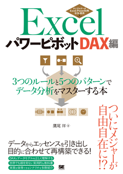 Excelパワーピボット DAX編  3つのルールと5つのパターンでデータ分析をマスターする本
