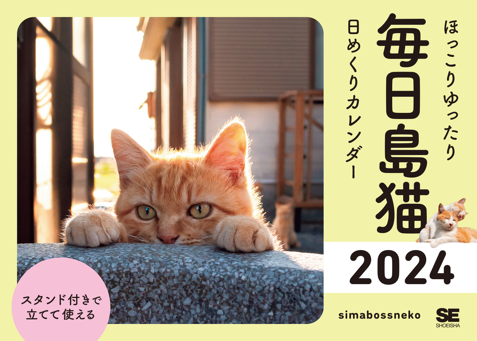ほっこりゆったり毎日島猫 日めくりカレンダー 2024 | SEshop ほっこりゆったり毎日島猫 日めくりカレンダー 2024 | SEshop