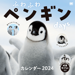 ふわふわペンギンdays カレンダー 2024