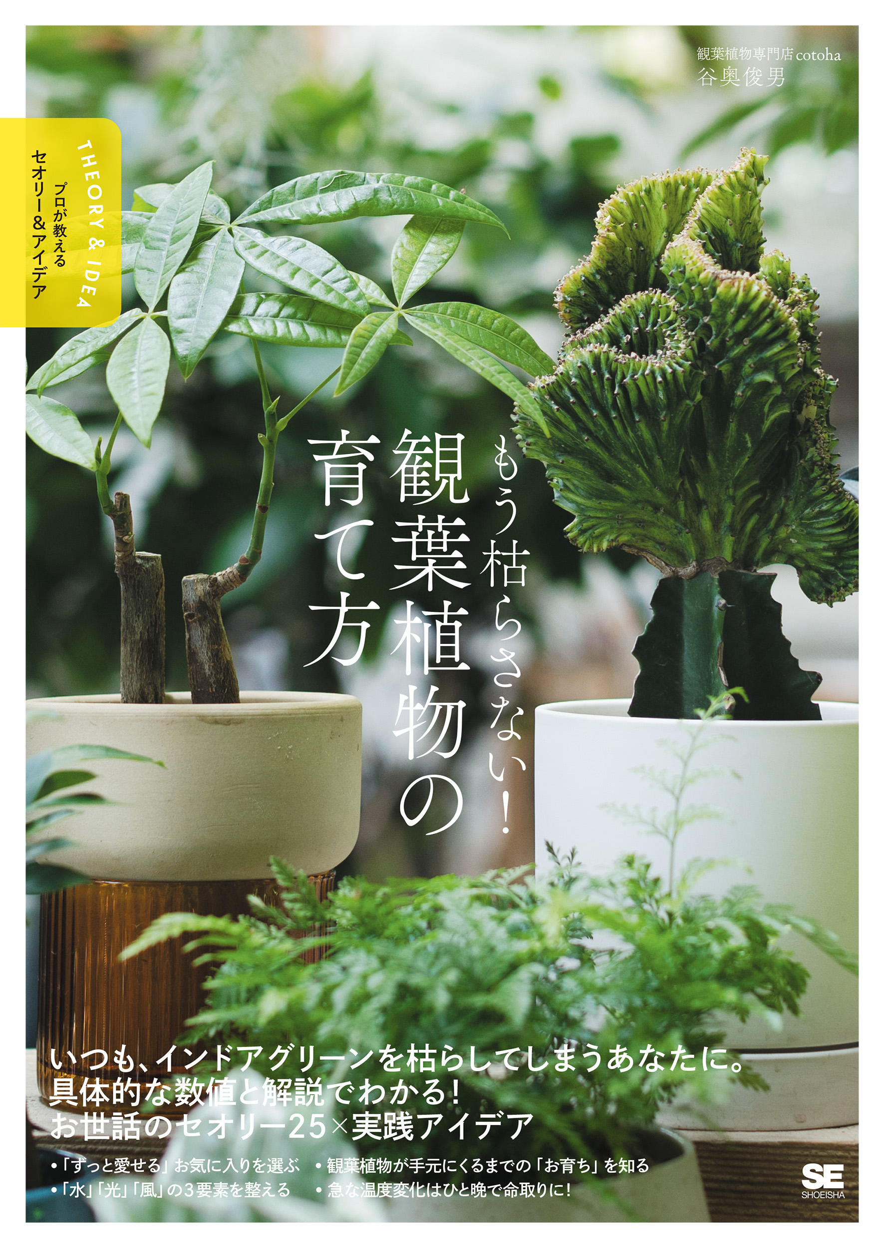 植物とお話しする法 植物とお話しする法 | 橋本 健 |本 | 通販 | Amazon