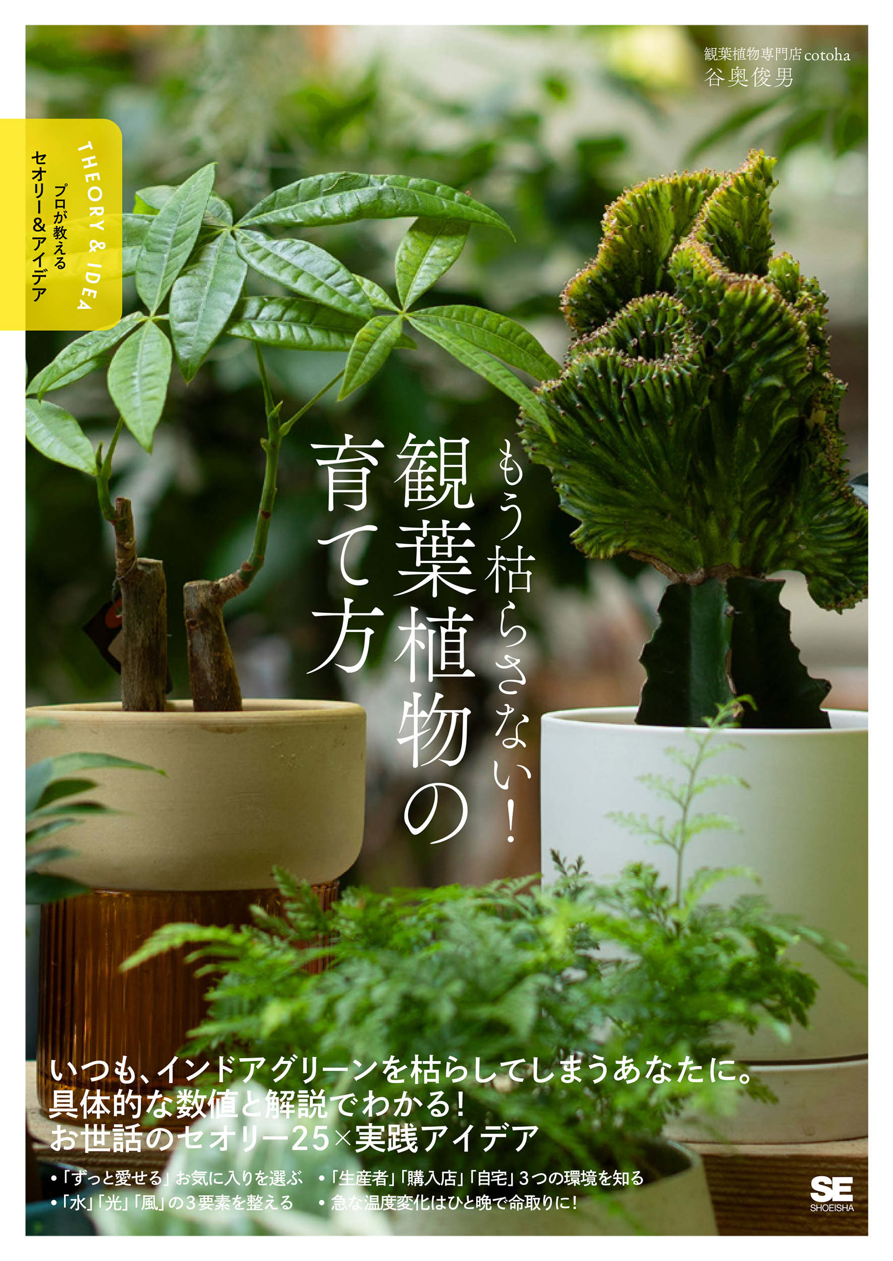 もう枯らさない！観葉植物の育て方 プロが教えるセオリー＆アイデア