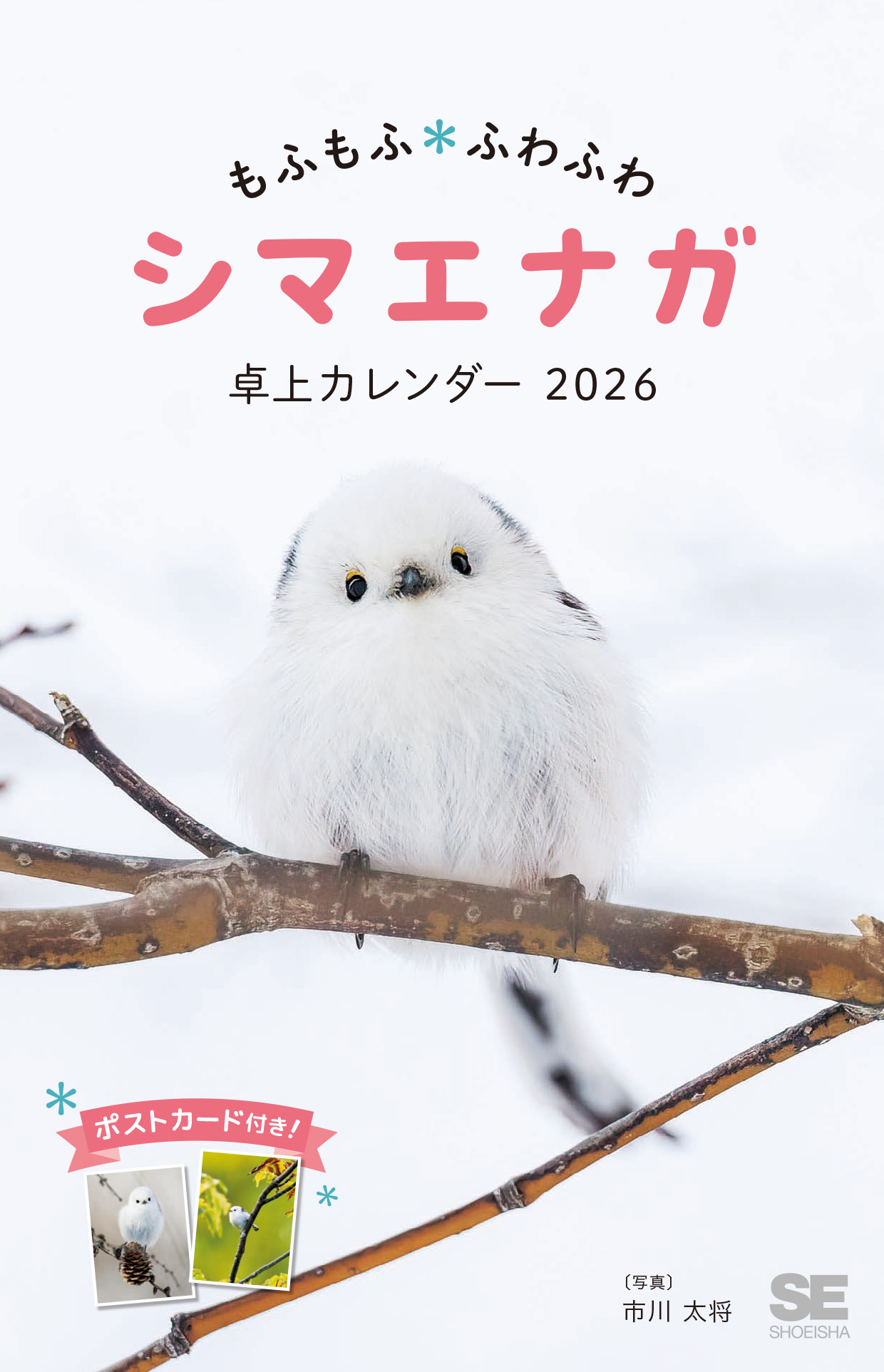 新柄ラミネート オーダーページです。もふもふシマエナガとリボン 新柄
