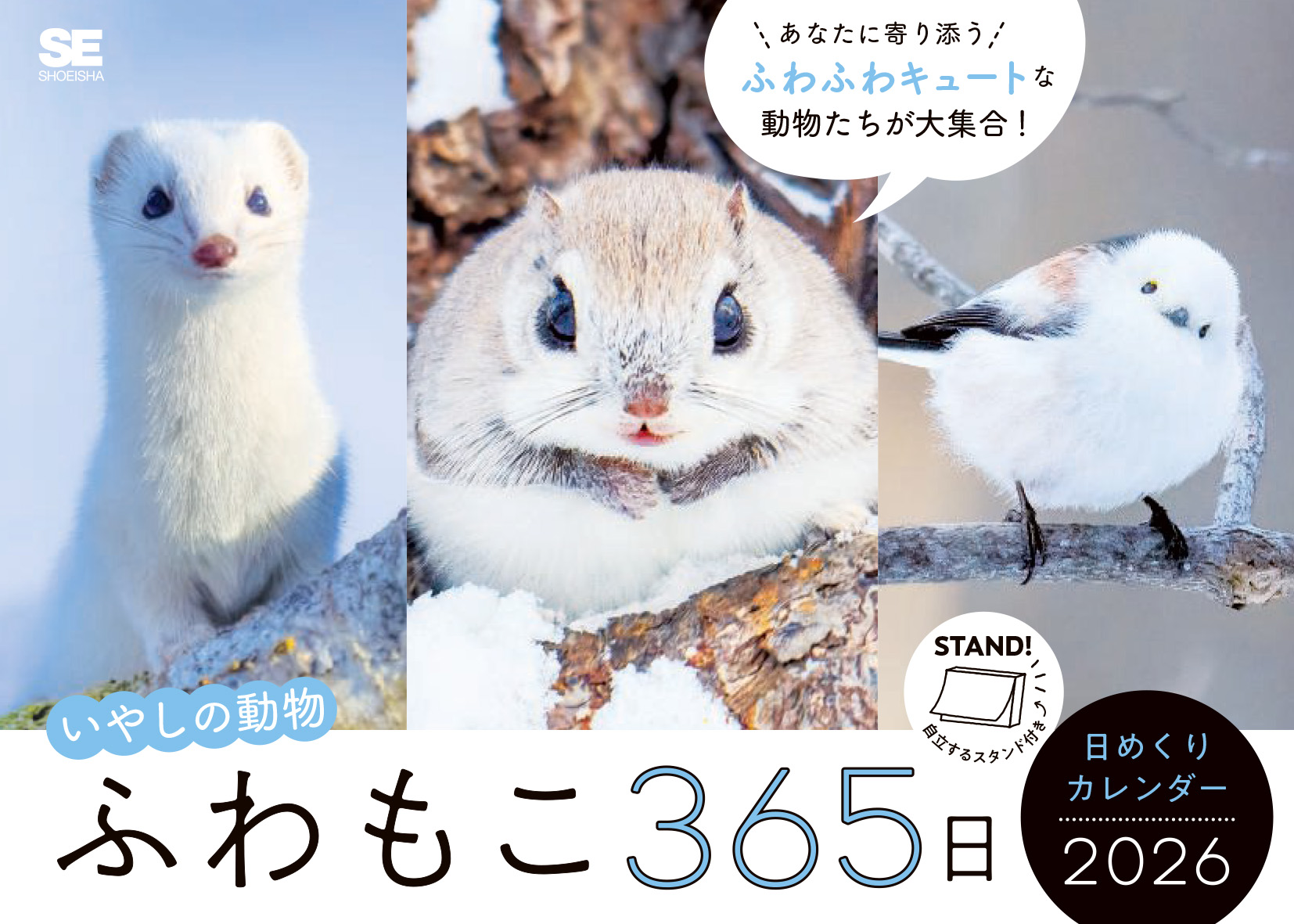 白のふわり【次回発送29日金曜日です】ページ ふわもこ365日いやしの動物 日めくりカレンダー 2026 ｜ SEshop｜ 翔